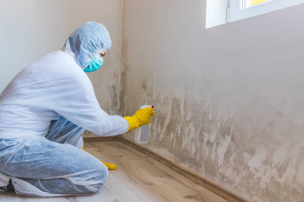 Commercial Mold Remediation assessment for commercial property in Elizabeth